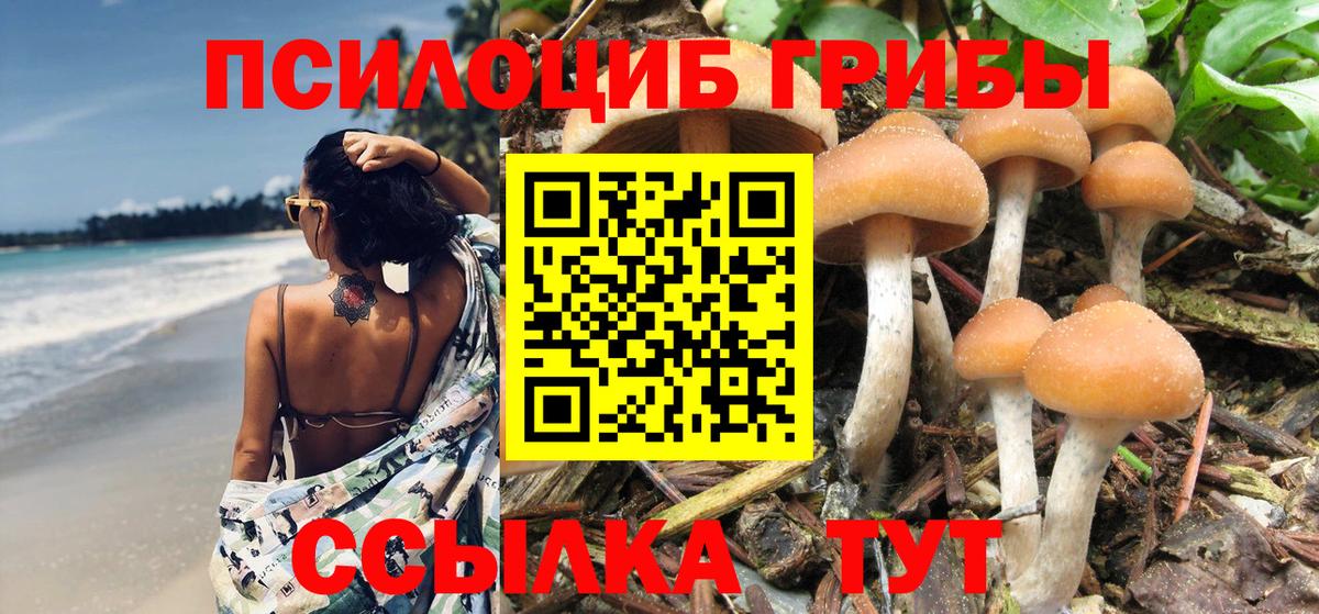 Галлюциногенные грибы Psilocybine cubensis  Вход с VPN  Людиново 
