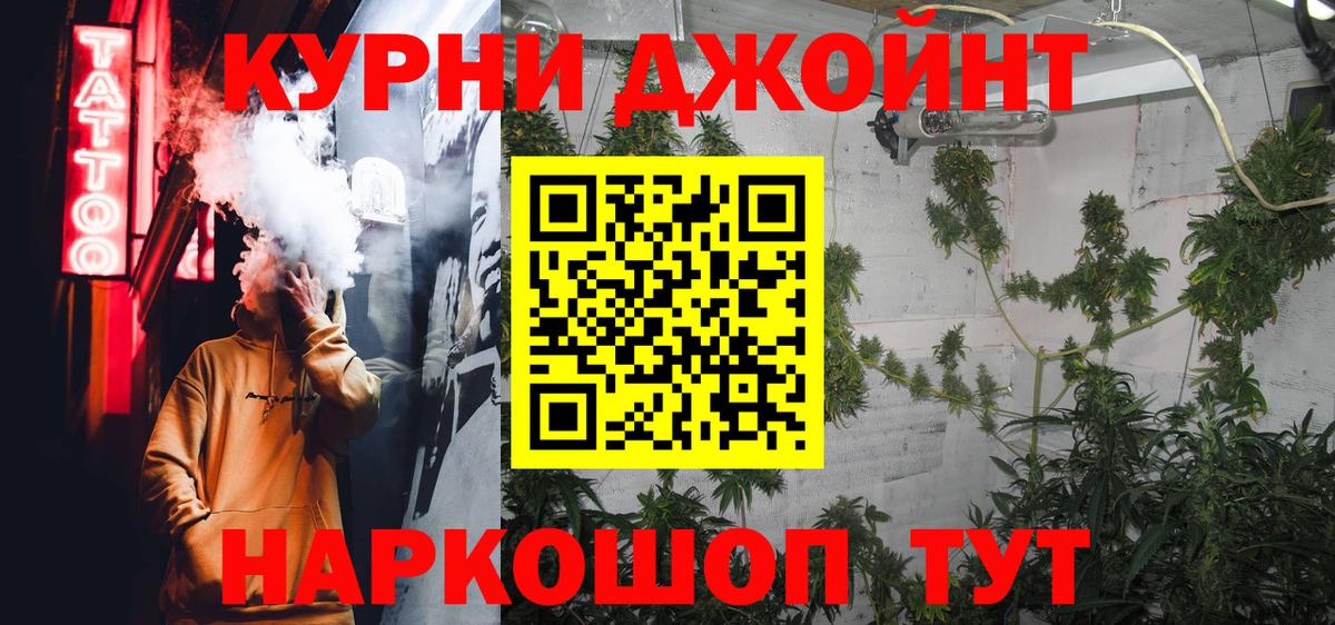 Бошки Шишки планчик Людиново